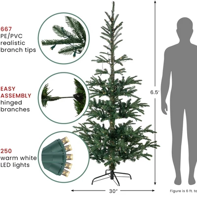Northlight Real Touch™️ Pre-Lit Pencil Nordmann Fir Artificial Christmas Tree - 6.5' - Warm Clear LED Lights - Image 6