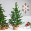 Northlight Whitecap Pine Artificial Mini Christmas Tree - 18" - Unlit